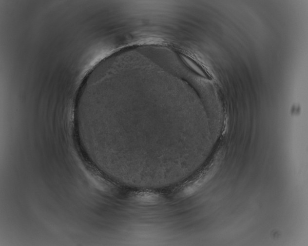 X0000094440348200711211501