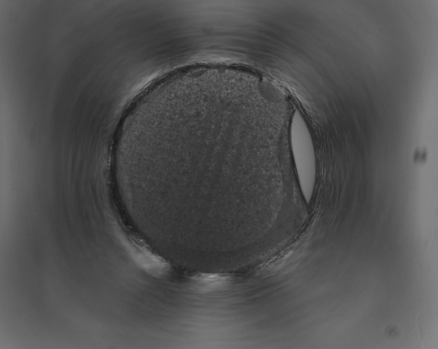 X0000094440352200711211501