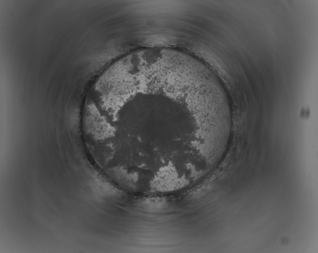 X0000094440353200711211501