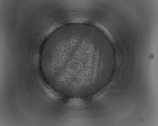 X0000094440354200711211501