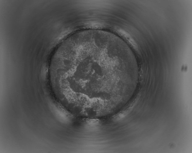 X0000094440355200711211501