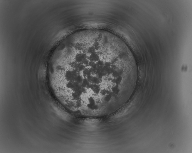 X0000094440357200711211501