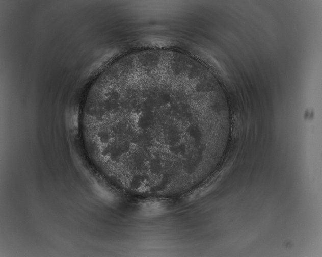 X0000094440358200711211501