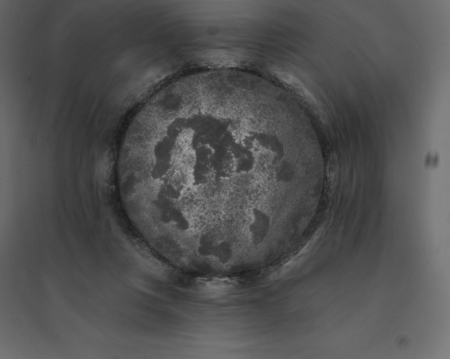 X0000094440359200711211501