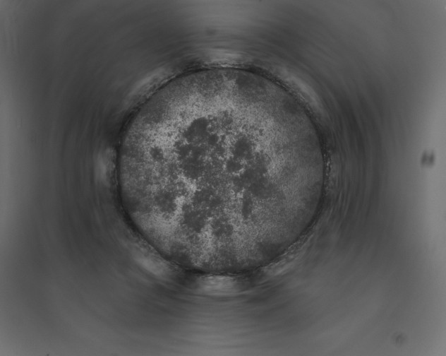 X0000094440361200711211501