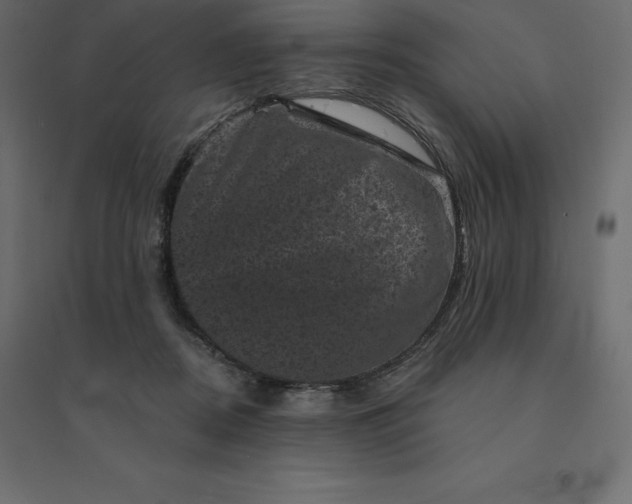 X0000094440362200711211501