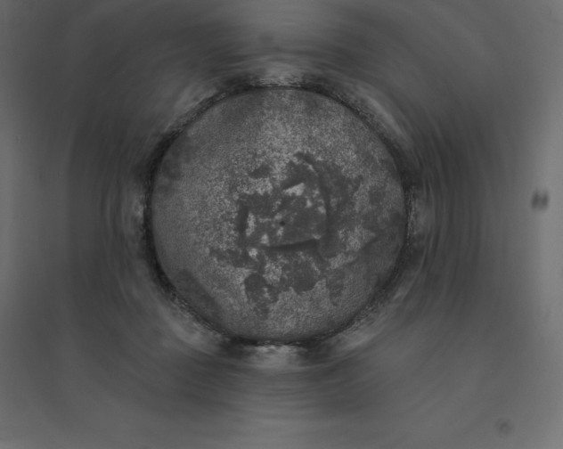 X0000094440363200711211501