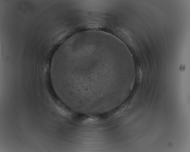 X0000094440364200711211501