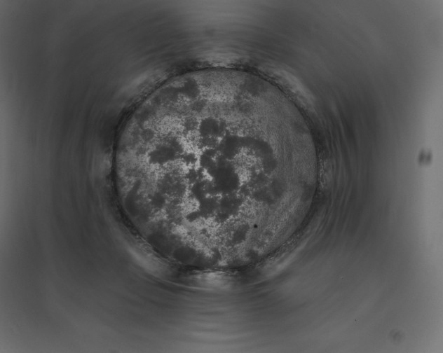 X0000094440365200711211501