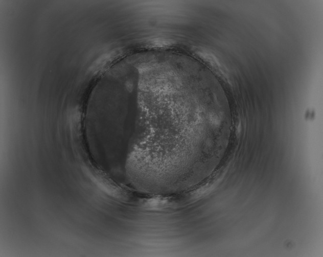 X0000094440366200711211501