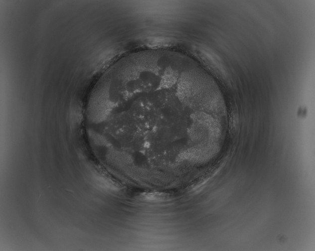 X0000094440367200711211501