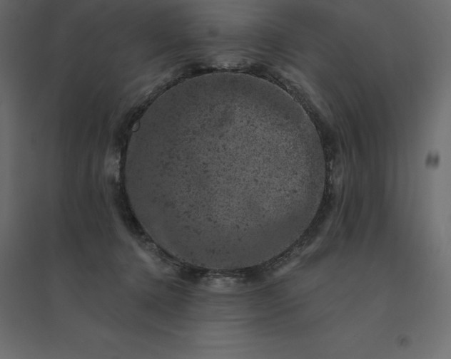 X0000094440368200711211501