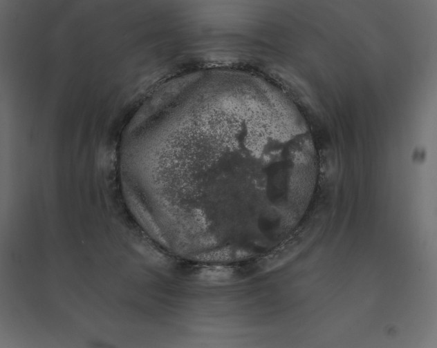 X0000094440369200711211501