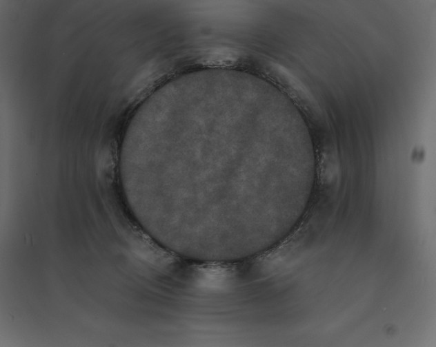 X0000094440370200711211501