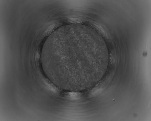 X0000094440371200711211501