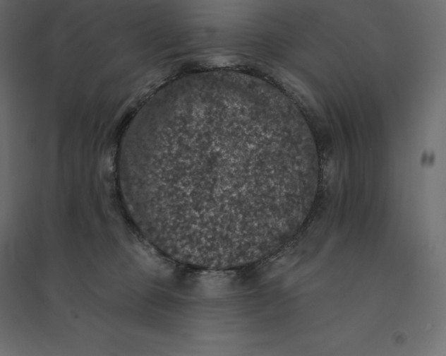 X0000094440373200711211501