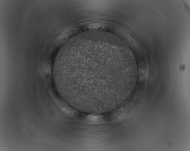 X0000094440375200711211501