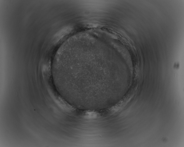 X0000094440376200711211501