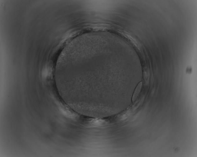 X0000094440379200711211501