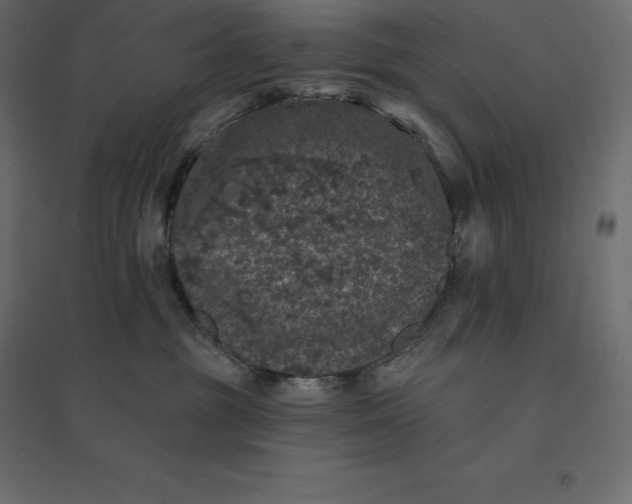 X0000094440381200711211501