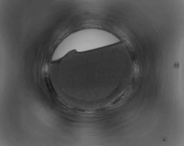 X0000094440382200711211501