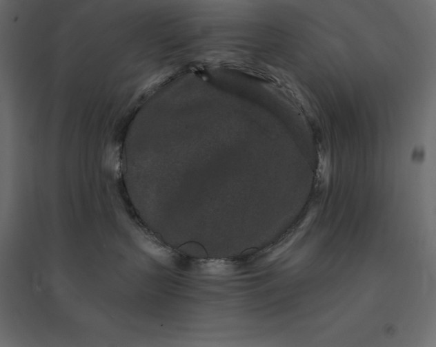 X0000094440383200711211501