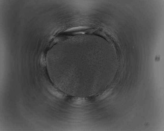 X0000094440384200711211501