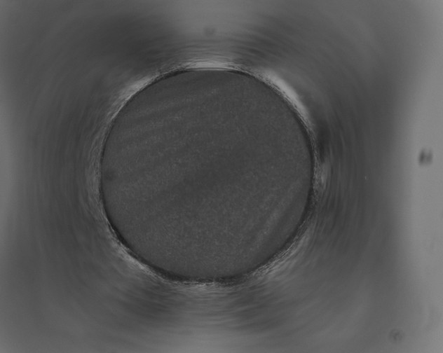 X0000094440385200711211501