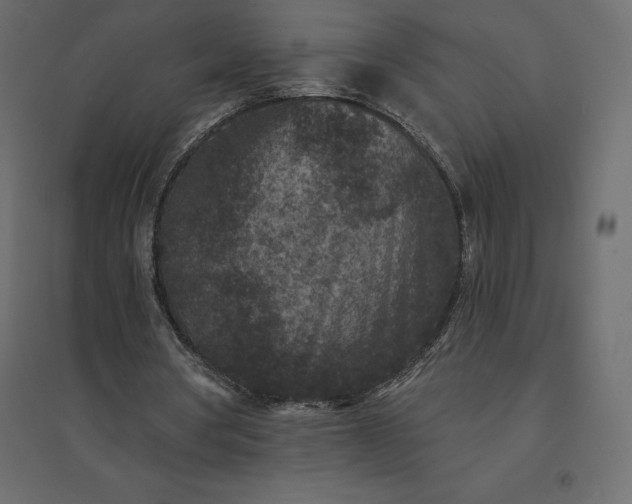 X0000094440386200711211501