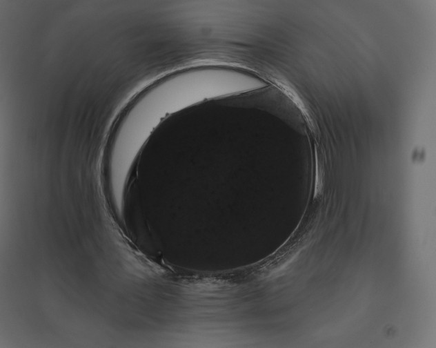 X0000094440387200711211501