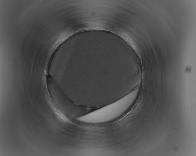 X0000094440389200711211501