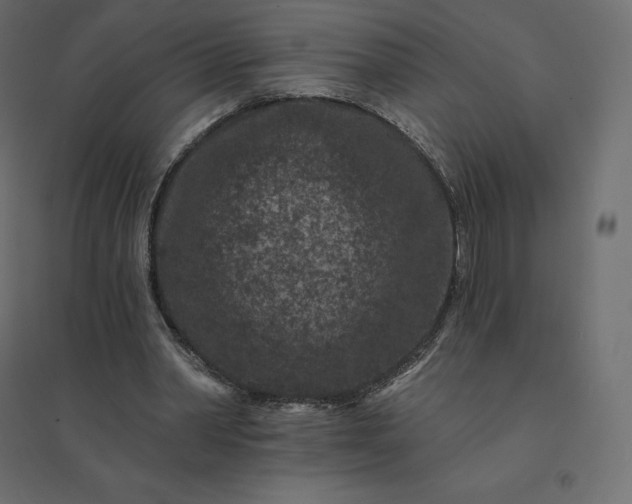 X0000094440390200711211501