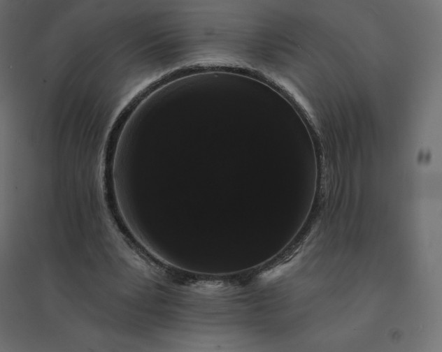 X0000094440391200711211501