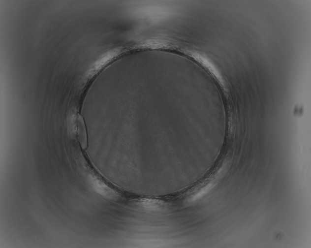 X0000094440393200711211501