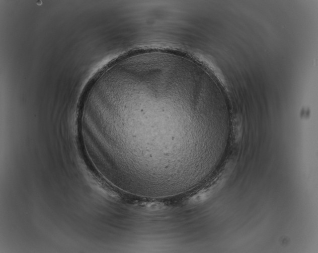 X0000094440395200711211501