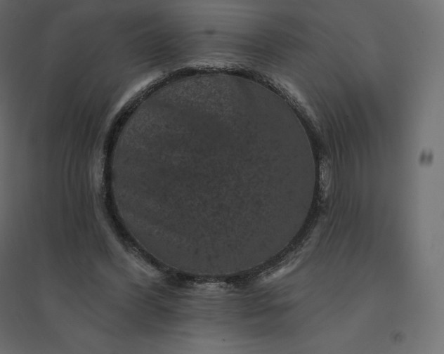 X0000094440396200711211501