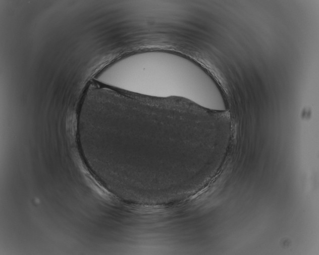 X0000094440397200711211501