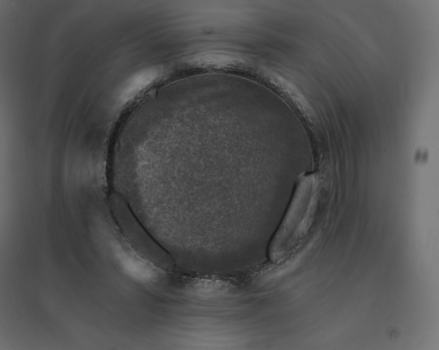 X0000094440399200711211501