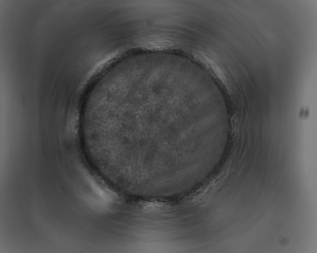 X0000094440400200711211501