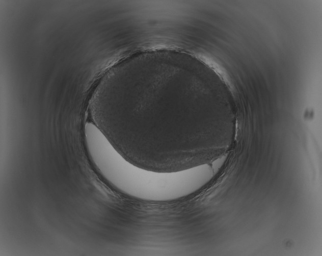 X0000094440401200711211501