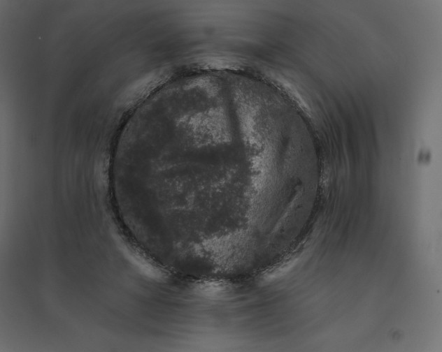 X0000094440402200711211501