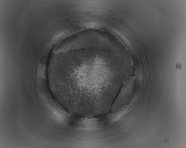 X0000094440403200711211500