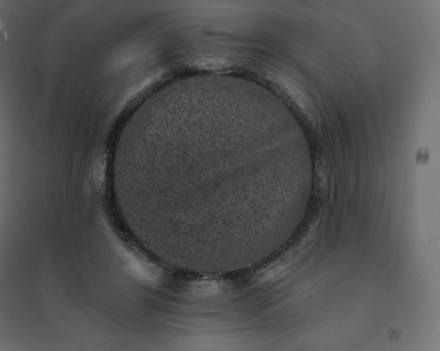 X0000094440404200711211500