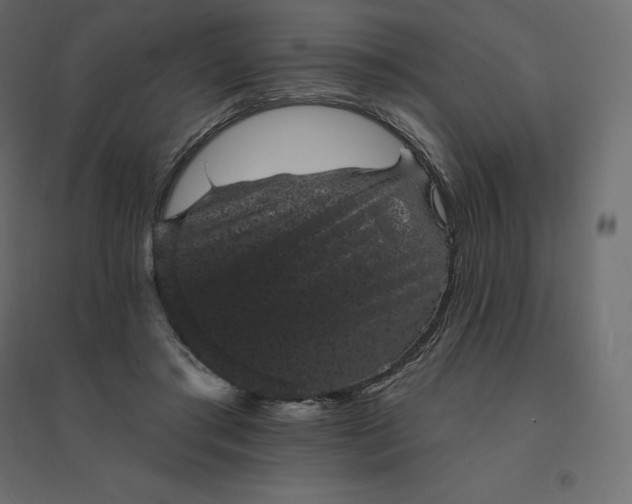 X0000094440405200711211500