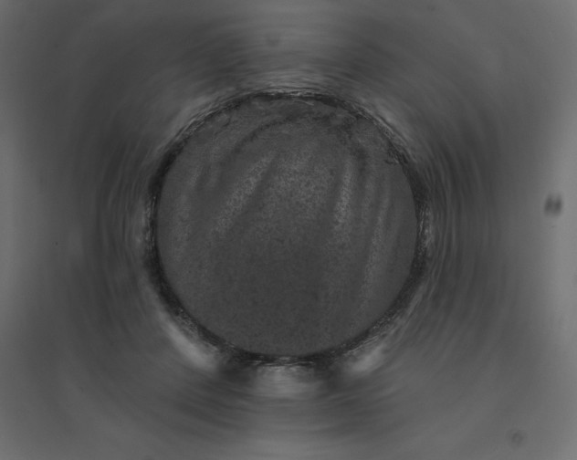 X0000094440408200711211500