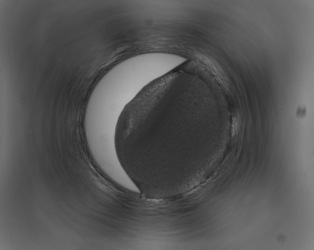 X0000094440409200711211500