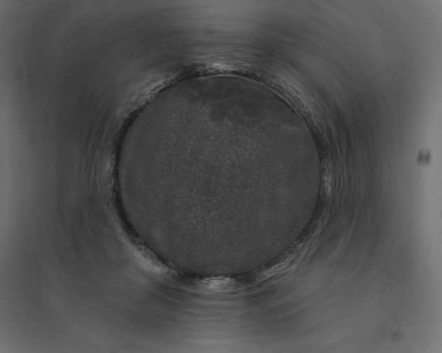 X0000094440410200711211500