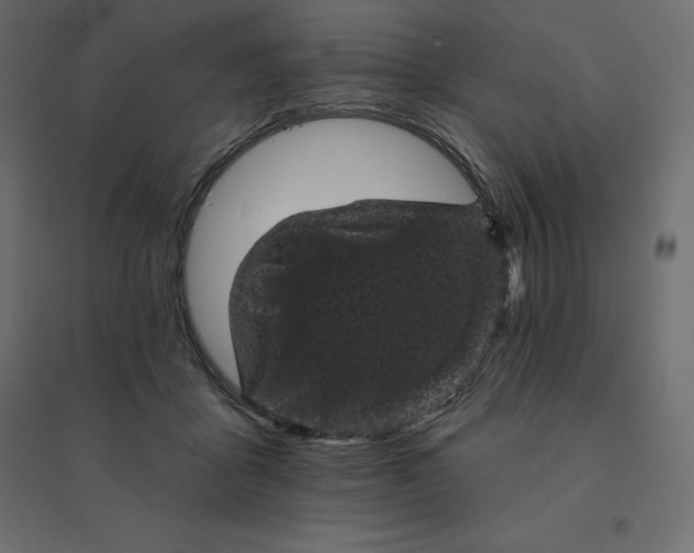 X0000094440411200711211500