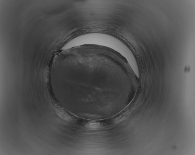 X0000094440413200711211500