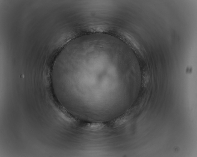 X0000094440414200711211500